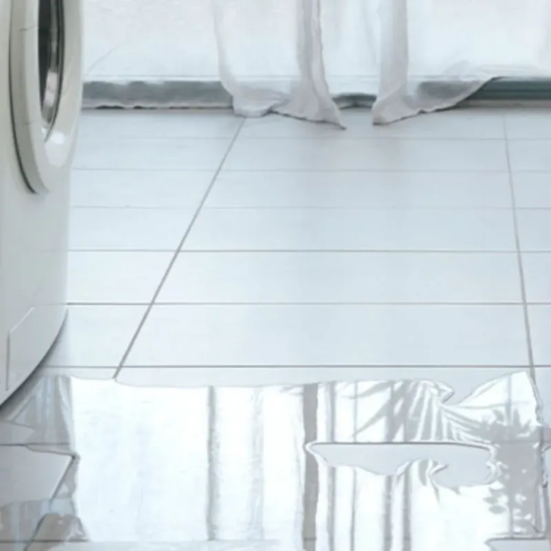Appliance Leak Cleanup in South Monroe, MI