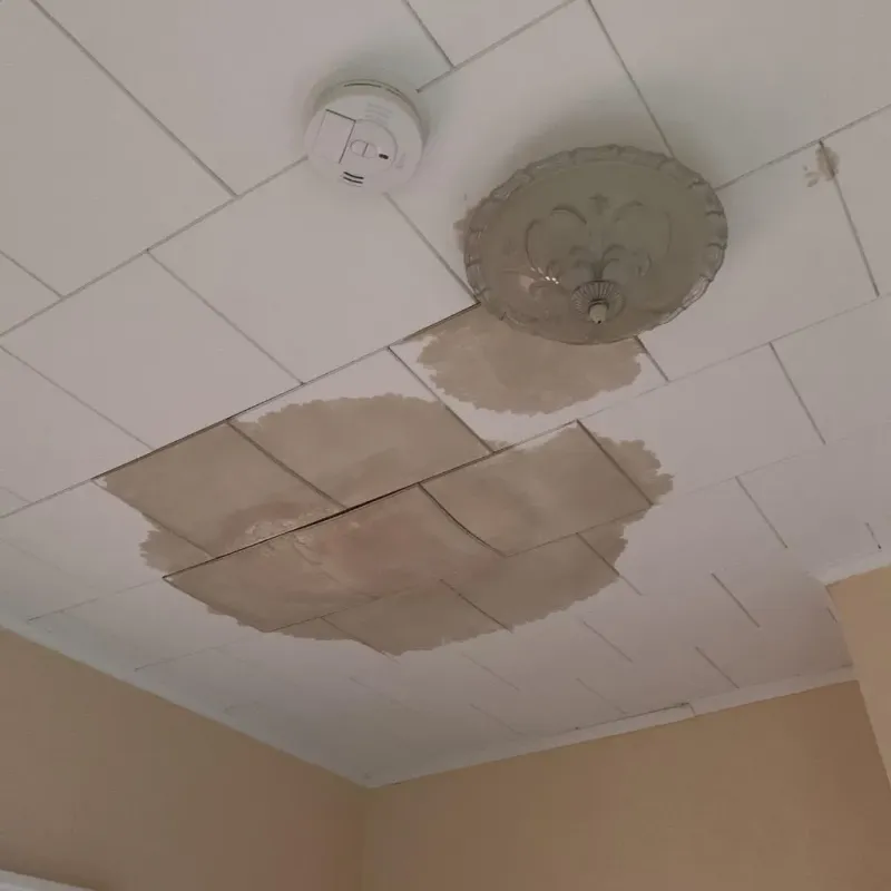 Ceiling Water Damage Repair in South Monroe, MI