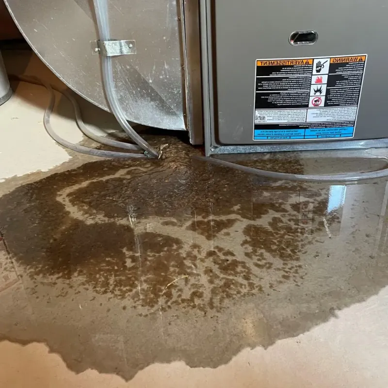Pipe Burst and Leak Restoration in South Monroe, MI
