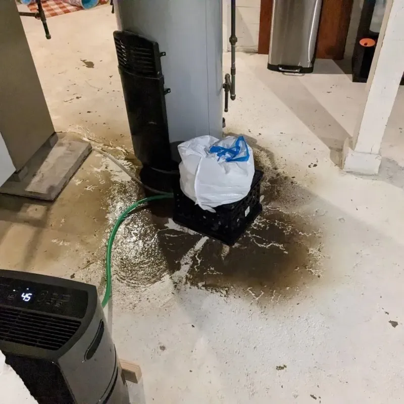 Sewage Backup Cleanup Service in South Monroe, MI
